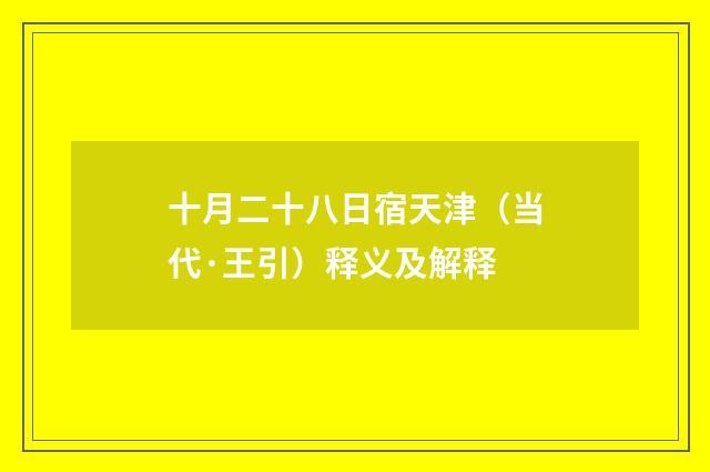 十月二十八日宿天津（当代·王引）释义及解释
