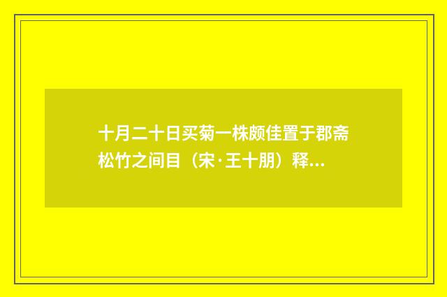 十月二十日买菊一株颇佳置于郡斋松竹之间目（宋·王十朋）释义及解释