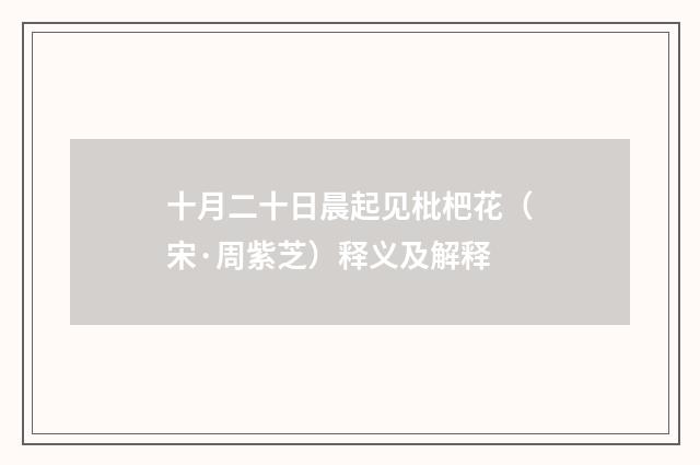 十月二十日晨起见枇杷花（宋·周紫芝）释义及解释