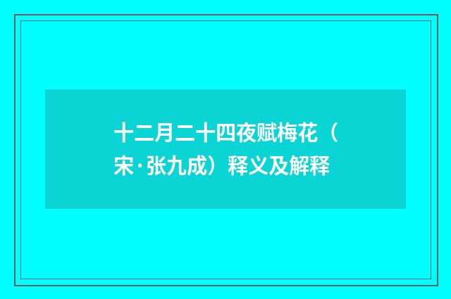 十二月二十四夜赋梅花（宋·张九成）释义及解释