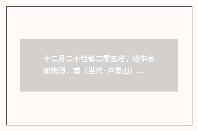 十二月二十检修二零五塔，塔中水如雨泻，甫（当代·卢青山）释义及解释