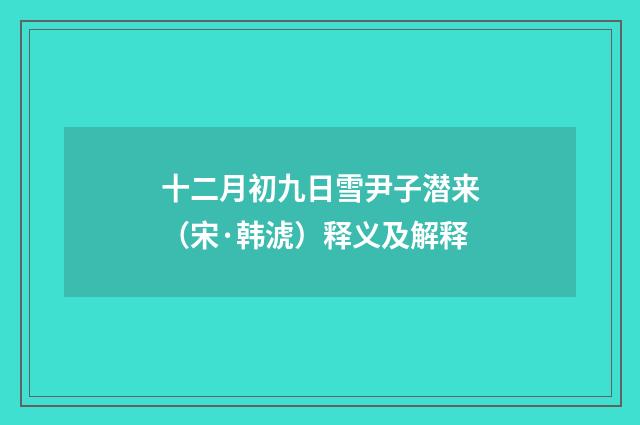 十二月初九日雪尹子潜来（宋·韩淲）释义及解释