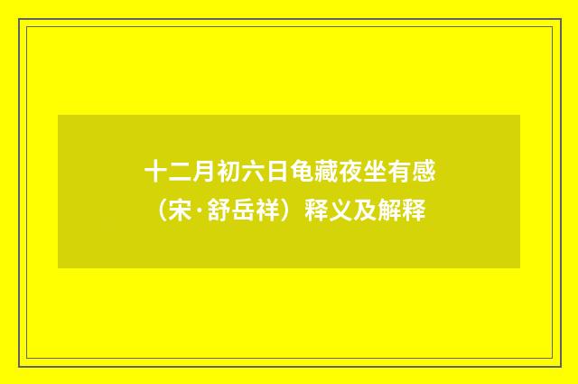 十二月初六日龟藏夜坐有感（宋·舒岳祥）释义及解释