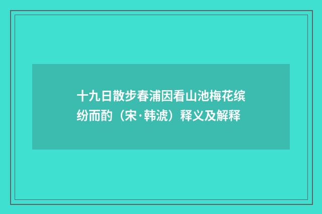 十九日散步春浦因看山池梅花缤纷而酌（宋·韩淲）释义及解释