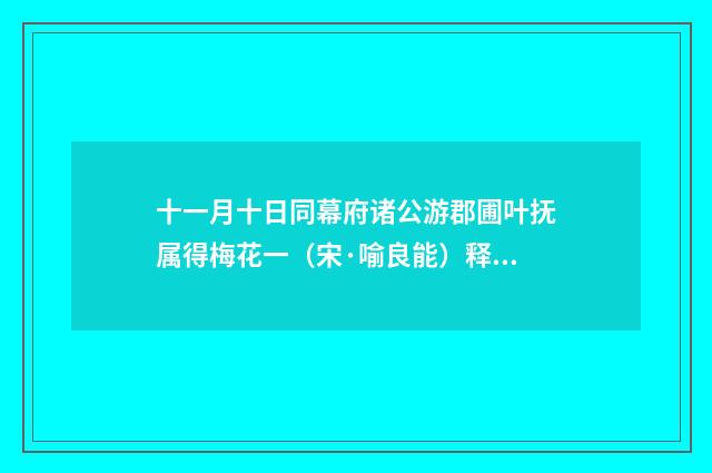 十一月十日同幕府诸公游郡圃叶抚属得梅花一（宋·喻良能）释义及解释