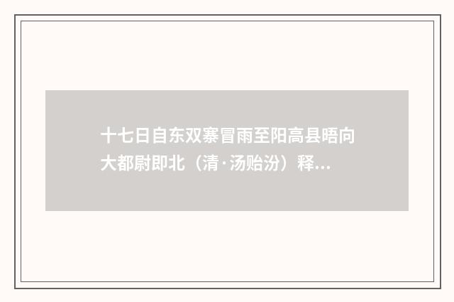 十七日自东双寨冒雨至阳高县晤向大都尉即北（清·汤贻汾）释义及解释