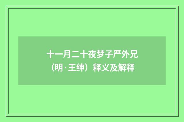 十一月二十夜梦子严外兄（明·王绅）释义及解释