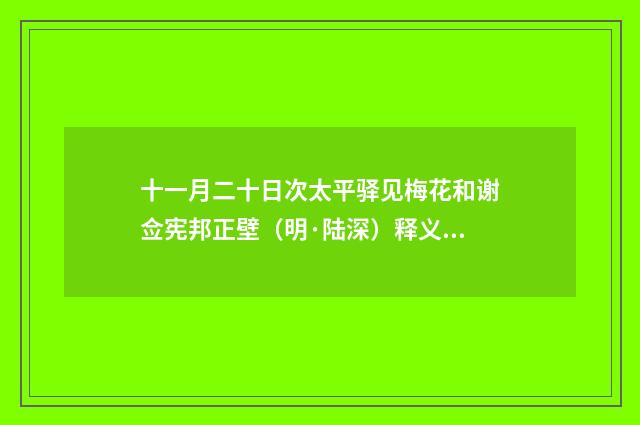 十一月二十日次太平驿见梅花和谢佥宪邦正壁（明·陆深）释义及解释