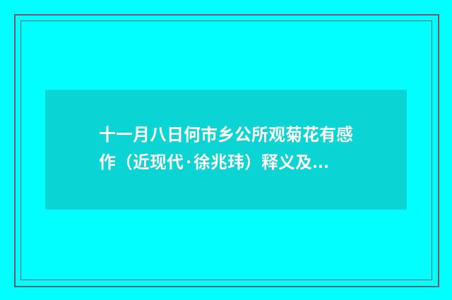 十一月八日何市乡公所观菊花有感作（近现代·徐兆玮）释义及解释