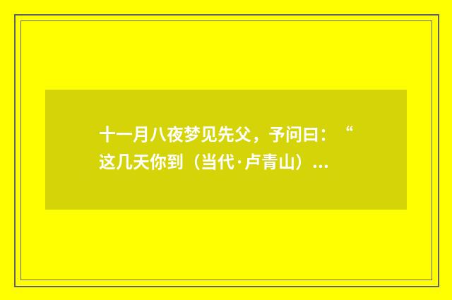 十一月八夜梦见先父，予问曰：“这几天你到（当代·卢青山）释义及解释