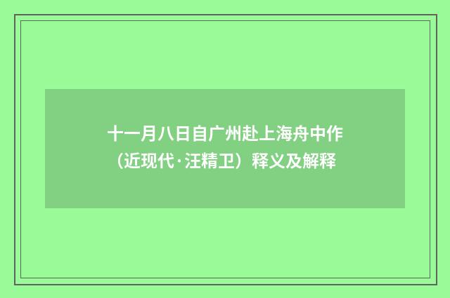 十一月八日自广州赴上海舟中作（近现代·汪精卫）释义及解释