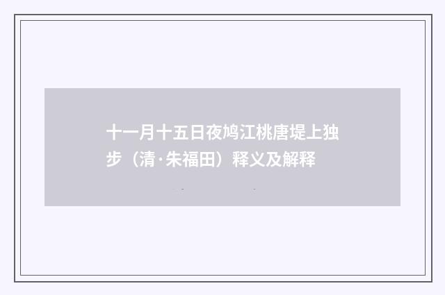 十一月十五日夜鸠江桃唐堤上独步（清·朱福田）释义及解释