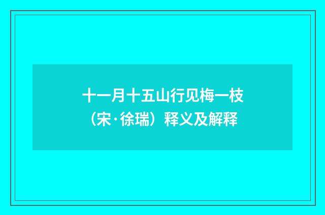 十一月十五山行见梅一枝（宋·徐瑞）释义及解释