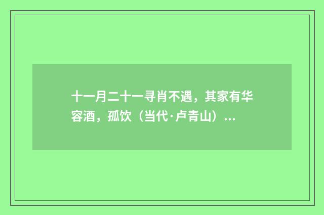 十一月二十一寻肖不遇，其家有华容酒，孤饮（当代·卢青山）释义及解释