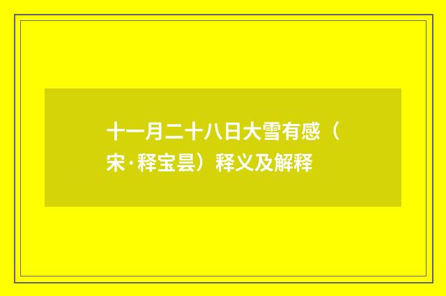 十一月二十八日大雪有感（宋·释宝昙）释义及解释