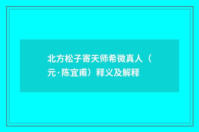 北方松子寄天师希微真人（元·陈宜甫）释义及解释