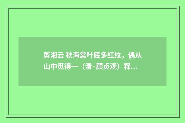 剪湘云 秋海棠叶底多红纹，偶从山中觅得一（清·顾贞观）释义及解释