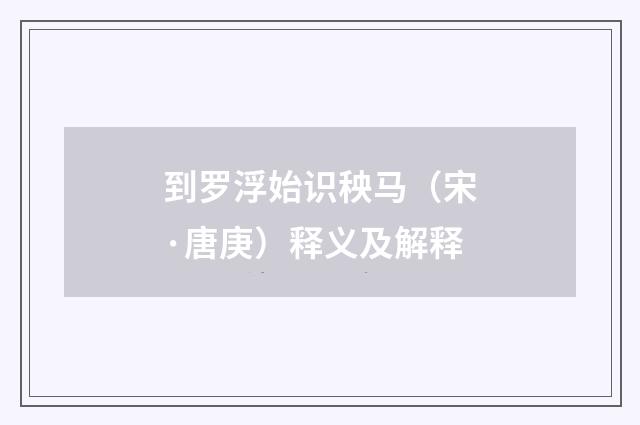 到罗浮始识秧马（宋·唐庚）释义及解释