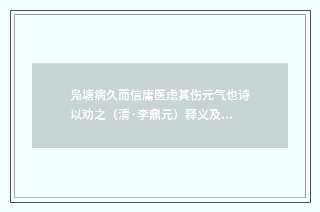 凫塘病久而信庸医虑其伤元气也诗以劝之（清·李鼎元）释义及解释