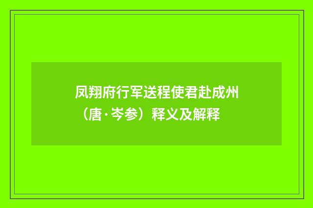凤翔府行军送程使君赴成州（唐·岑参）释义及解释