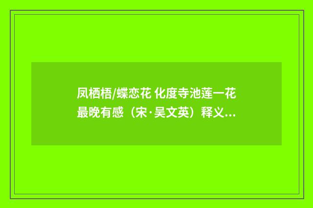 凤栖梧/蝶恋花 化度寺池莲一花最晚有感（宋·吴文英）释义及解释