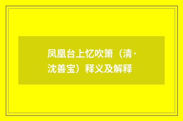 凤凰台上忆吹箫（清·沈善宝）释义及解释