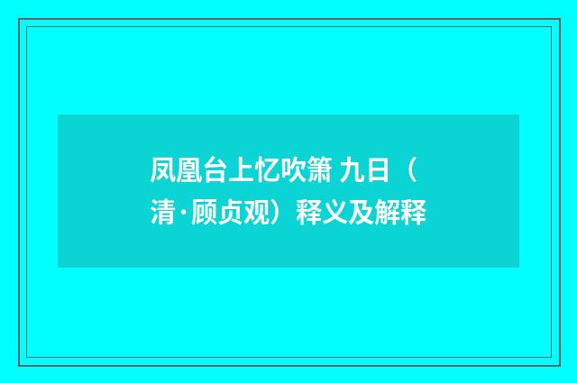 凤凰台上忆吹箫 九日（清·顾贞观）释义及解释