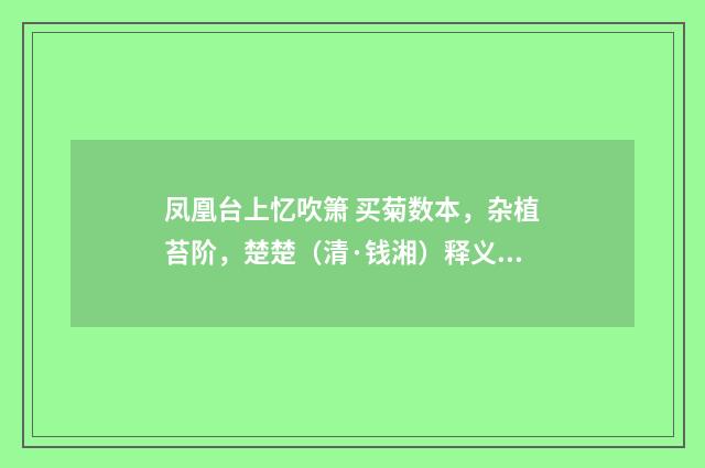 凤凰台上忆吹箫 买菊数本，杂植苔阶，楚楚（清·钱湘）释义及解释