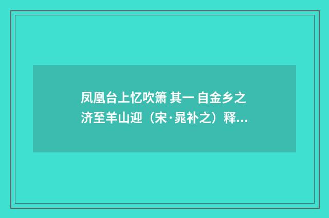 凤凰台上忆吹箫 其一 自金乡之济至羊山迎（宋·晁补之）释义及解释