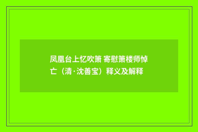 凤凰台上忆吹箫 寄慰箫楼师悼亡（清·沈善宝）释义及解释