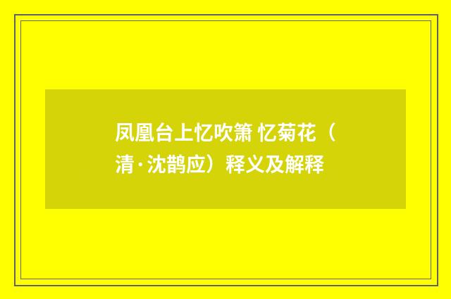 凤凰台上忆吹箫 忆菊花（清·沈鹊应）释义及解释