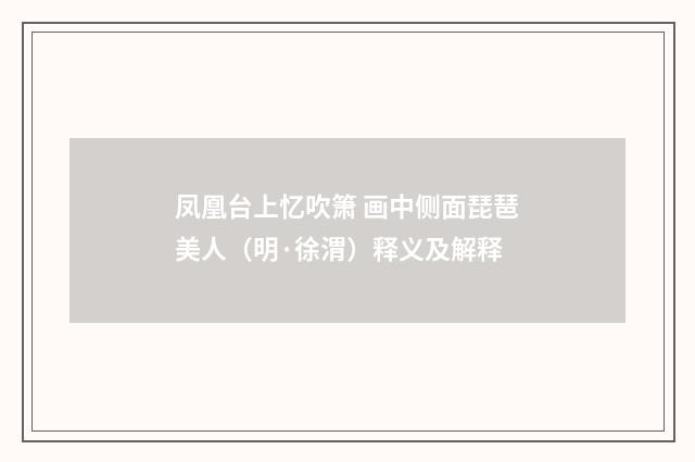 凤凰台上忆吹箫 画中侧面琵琶美人（明·徐渭）释义及解释