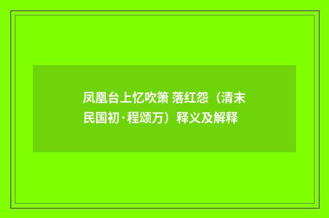 凤凰台上忆吹箫 落红怨（清末民国初·程颂万）释义及解释