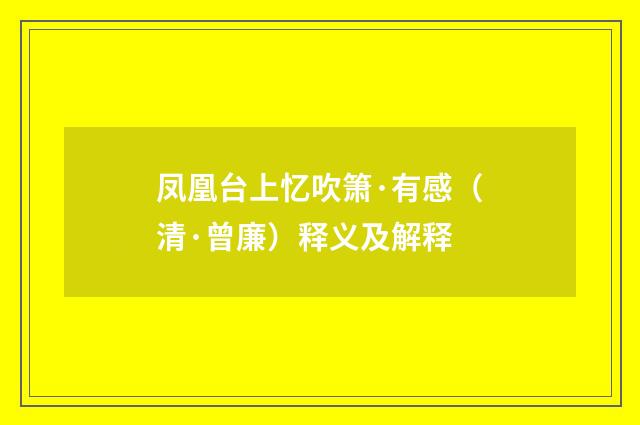 凤凰台上忆吹箫·有感（清·曾廉）释义及解释
