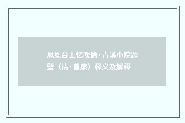 凤凰台上忆吹箫·青溪小院题壁（清·曾廉）释义及解释