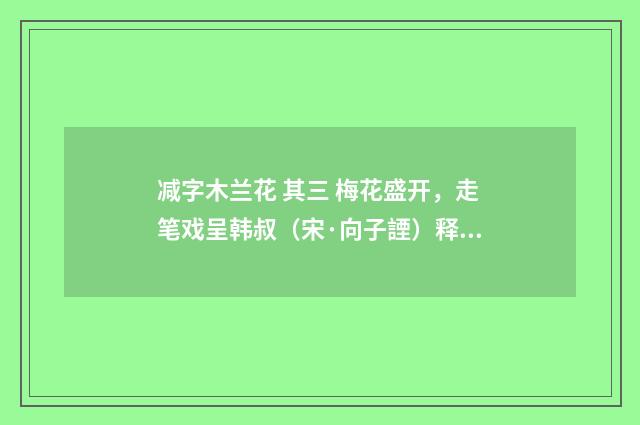 减字木兰花 其三 梅花盛开，走笔戏呈韩叔（宋·向子諲）释义及解释