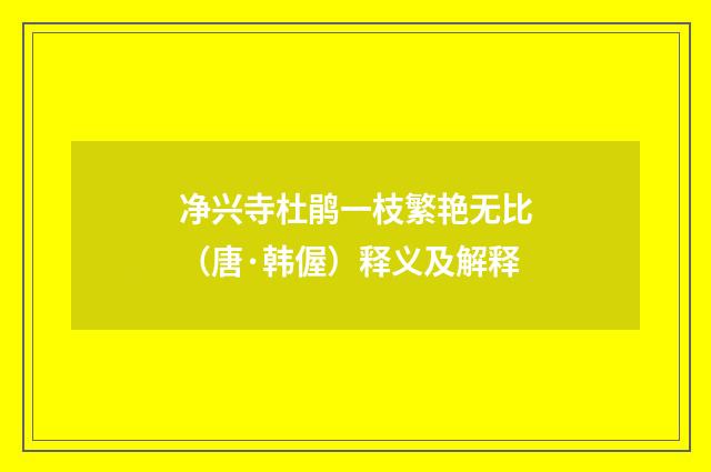 净兴寺杜鹃一枝繁艳无比（唐·韩偓）释义及解释