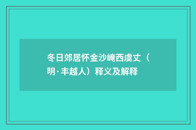 冬日郊居怀金沙崦西虞丈（明·丰越人）释义及解释