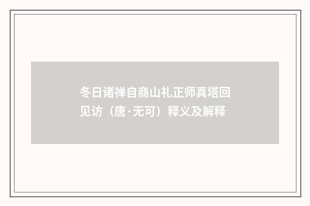 冬日诸禅自商山礼正师真塔回见访（唐·无可）释义及解释