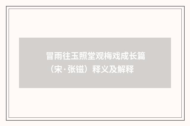 冒雨往玉照堂观梅戏成长篇（宋·张镃）释义及解释