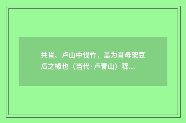 共肖、卢山中伐竹，盖为肖母架豆瓜之椽也（当代·卢青山）释义及解释