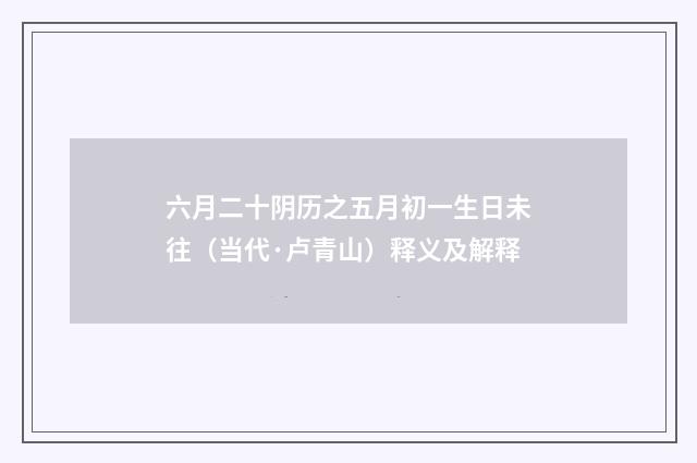 六月二十阴历之五月初一生日未往（当代·卢青山）释义及解释