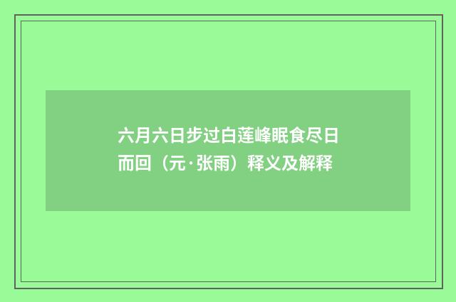 六月六日步过白莲峰眠食尽日而回（元·张雨）释义及解释