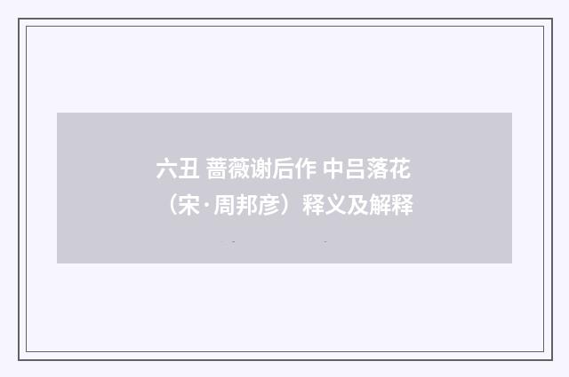 六丑 蔷薇谢后作 中吕落花（宋·周邦彦）释义及解释