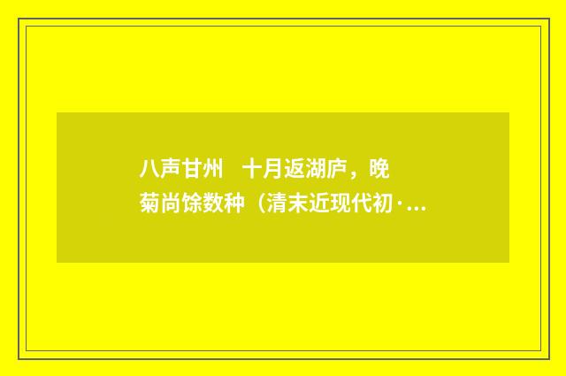 八声甘州 十月返湖庐，晚菊尚馀数种（清末近现代初·陈曾寿）释义及解释