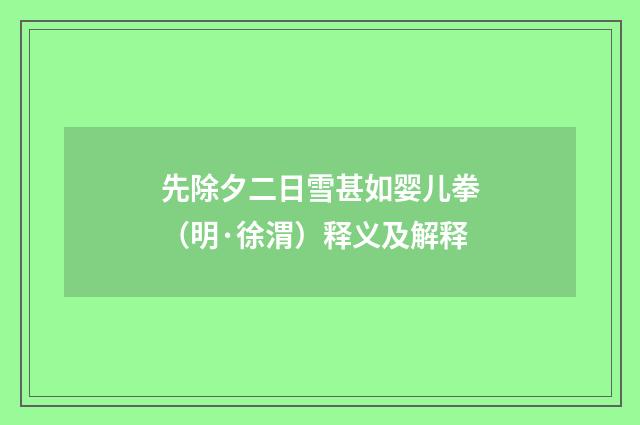 先除夕二日雪甚如婴儿拳（明·徐渭）释义及解释