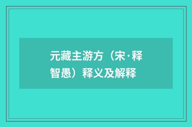 元藏主游方（宋·释智愚）释义及解释