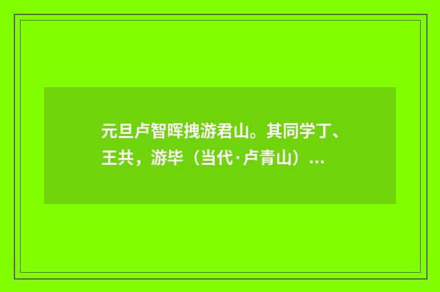 元旦卢智晖拽游君山。其同学丁、王共，游毕（当代·卢青山）释义及解释