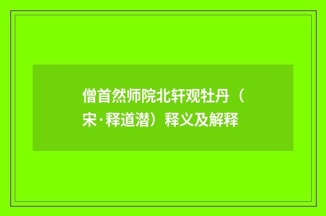 僧首然师院北轩观牡丹（宋·释道潜）释义及解释