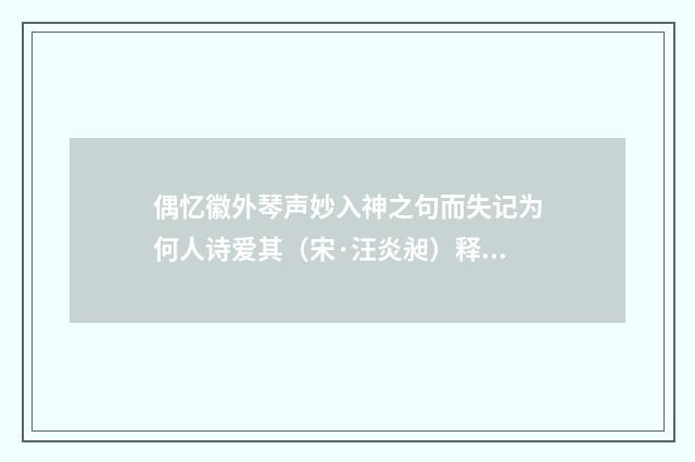 偶忆徽外琴声妙入神之句而失记为何人诗爱其（宋·汪炎昶）释义及解释